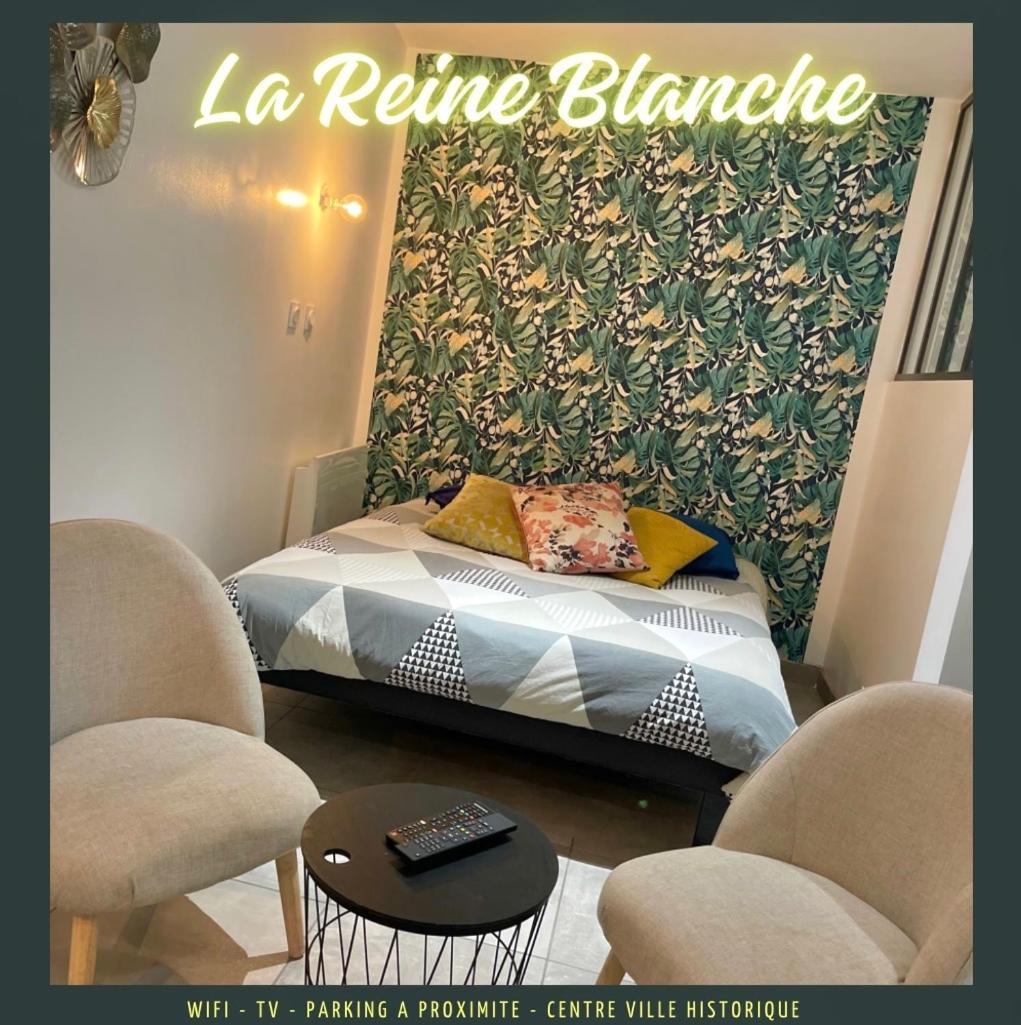 부르주 Studio La Reine Blanche - 4Pers - Rdc 아파트 외부 사진